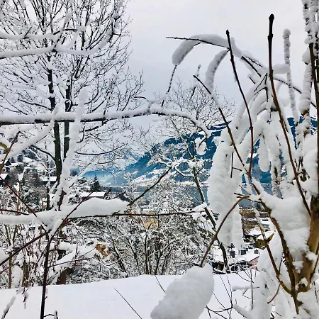 Apartment Barbara Zell am See