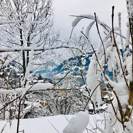 Daire Barbara Zell am See